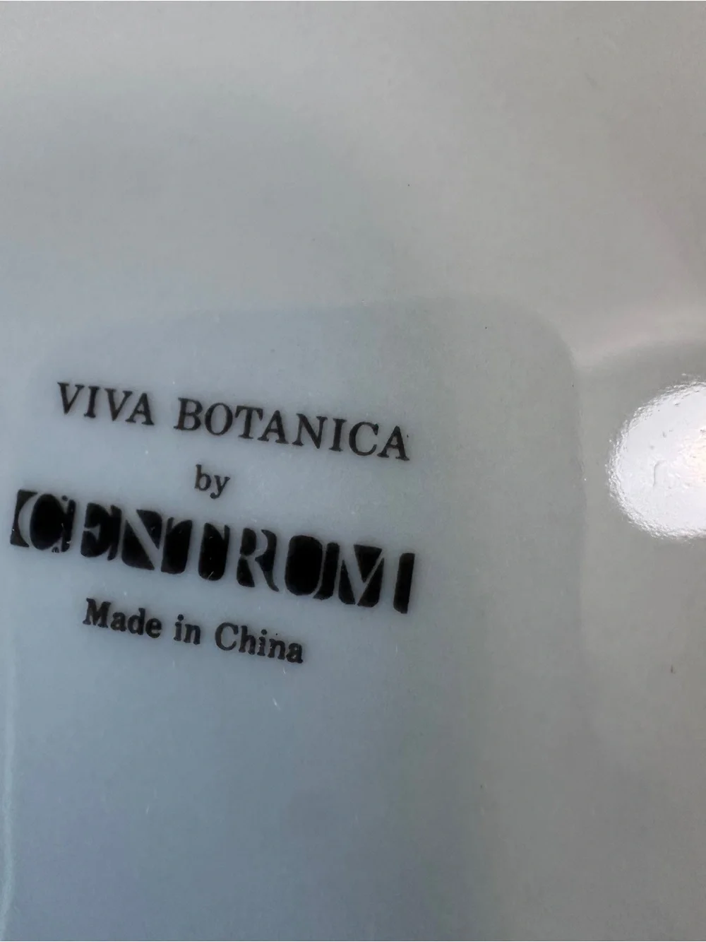 Vtg Centrum Viva Botanica Porcelain 2 Piece Chip & Dip Set Floral Platter Bowl